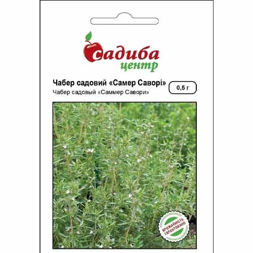 Чабер садовий Самер Саворі Садиба центр зображення 1 артикул 89815