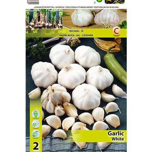 Часник білий артикул фото 1 Часник білий зображення 1 артикул 70500