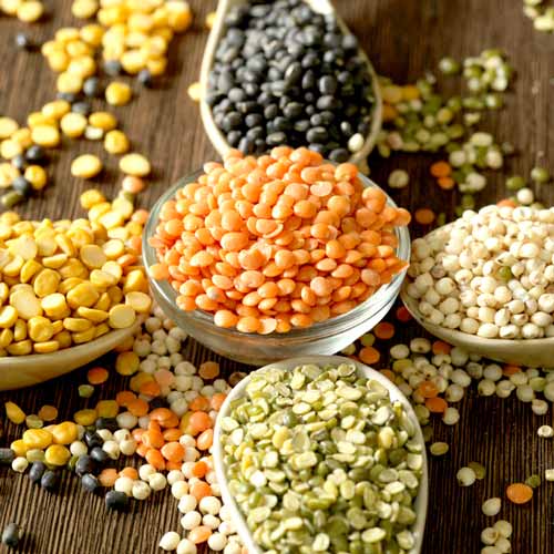 Сочевиця Seedera зображення 1 артикул 66528