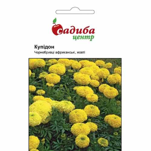 Бархатцы африканские Купидон желтые Садиба центр рисунок 1 артикул 87647
