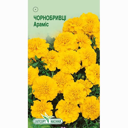 Бархатцы Арамис Элитсорт рисунок 1 артикул 95129