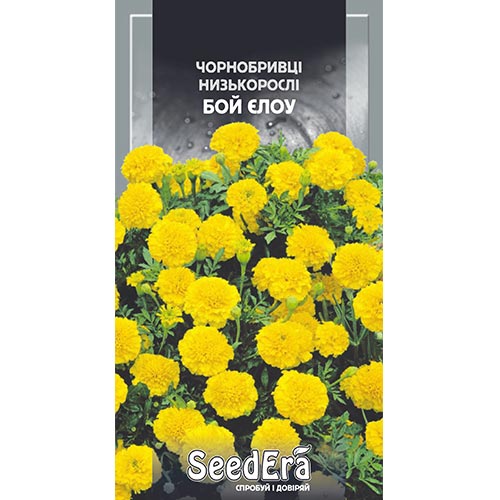 Чорнобривці Бой Єлоу Seedera зображення 1 артикул 94995