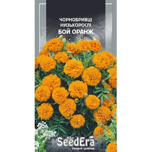 Чорнобривці Бой Оранж Seedera зображення 1 артикул 94996