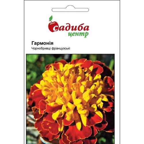 Бархатцы французские Гармония Садиба центр рисунок 1 артикул 87645