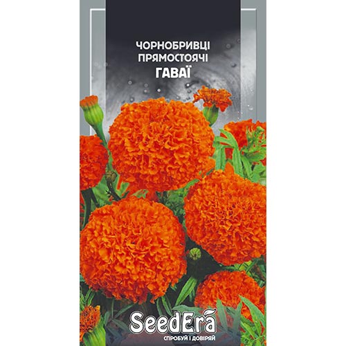 Чорнобривці Гаваї Seedera зображення 1 артикул 94994