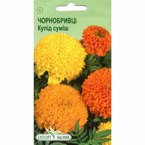 Чорнобривці Купід, суміш забарвлень Елітсорт зображення 1 артикул 85973
