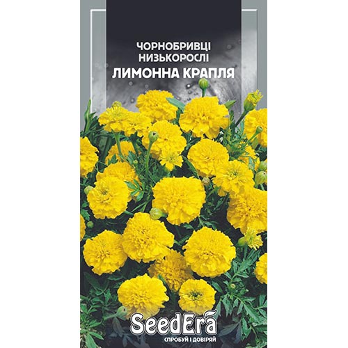 Чорнобривці Лимонна крапля Seedera зображення 1 артикул 94993