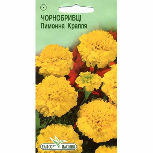 Бархатцы Лимонная капля Элитсорт рисунок 1 артикул 85975