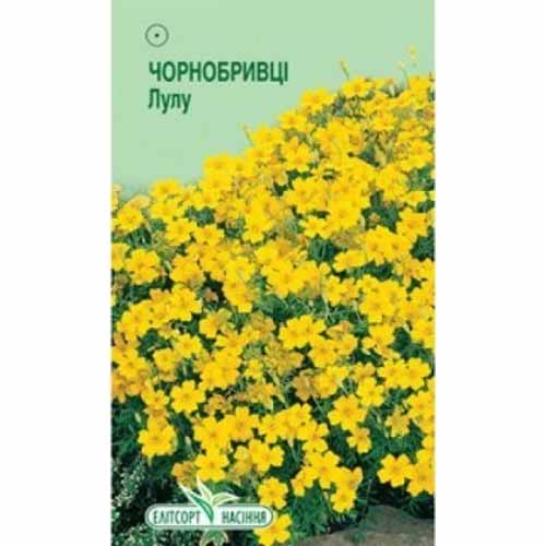 Чорнобривці Лулу Елітсорт зображення 1 артикул 85976
