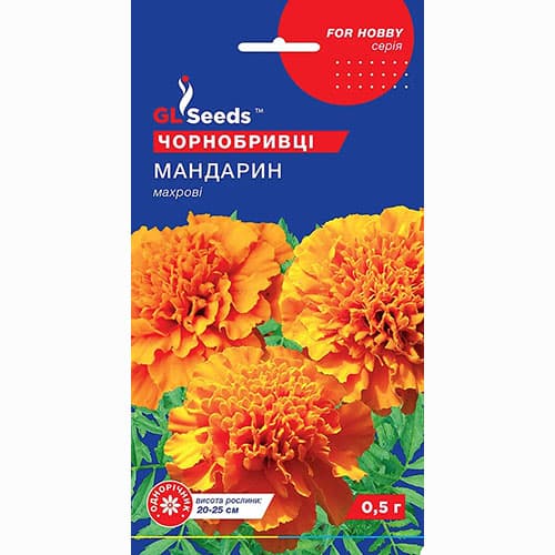 Бархатцы махровые Мандарин оранжевые GL seeds рисунок 1 артикул 99561