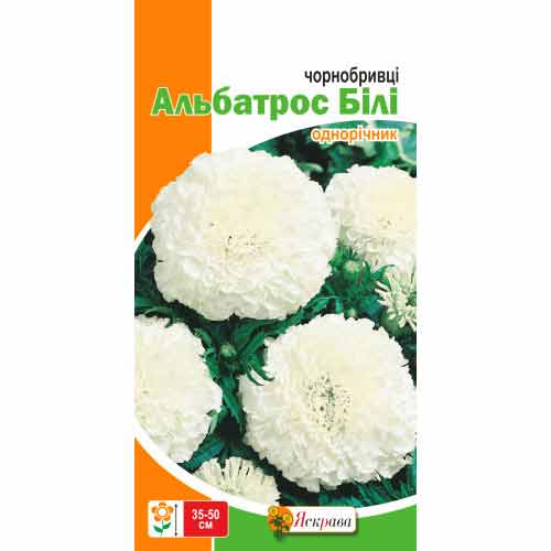 Чорнобривці низькі Альбатрос Яскрава зображення 1 артикул 99808