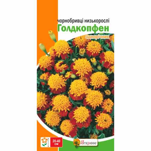 Чорнобривцi низькі Голдкопфен червоні Яскрава зображення 1 артикул 99809