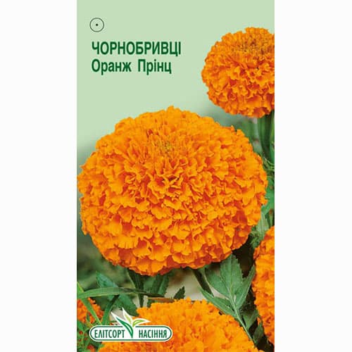 Чорнобривці прямостоячі Оранж Принц Елітсорт зображення 1 артикул 96177