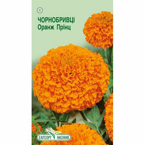 Бархатцы Оранж Принц Элитсорт артикул фото 1 Бархатцы Оранж Принц Элитсорт рисунок 1 артикул 85978