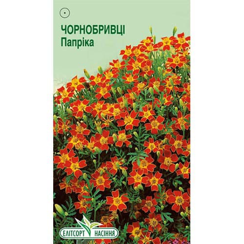 Чорнобривці тонколисті Папріка Елітсорт зображення 1 артикул 95132