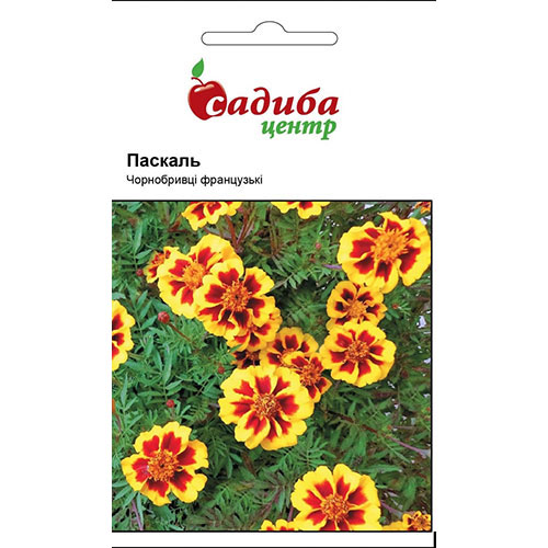 Чорнобривці Паскаль, суміш забарвлень Садиба центр зображення 1 артикул 90772