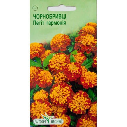 Чорнобривці розлогі Петіт Гармонія Елітсорт зображення 1 артикул 95133