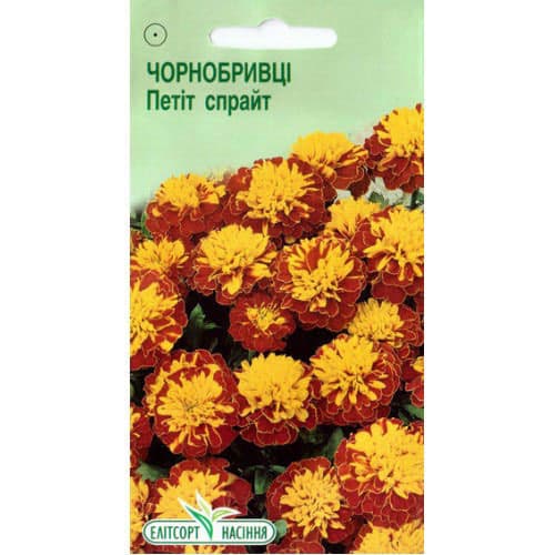 Бархатцы раскидистые Петит Спрайт Элитсорт рисунок 1 артикул 95134