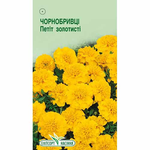 Чорнобривці Петіт золотисті Елітсорт зображення 1 артикул 85980