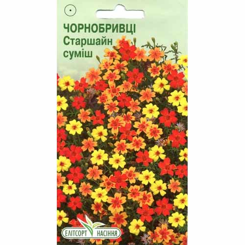 Бархатцы Старшайн, смесь окрасок Элитсорт рисунок 1 артикул 85983