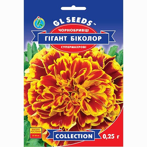 Бархатцы супермахровые Гигант биколор GL seeds рисунок 1 артикул 99557