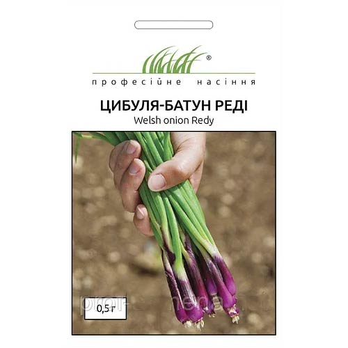 Лук батун Реди Профессиональные семена рисунок 1 артикул 90814