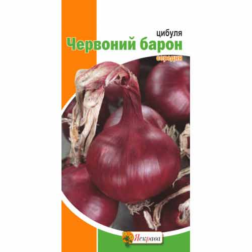 Лук Красный Барон Яскрава рисунок 1 артикул 87541