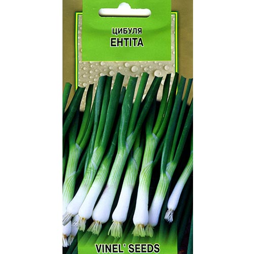 Цибуля Ентіта Vinel seeds зображення 1 артикул 95817