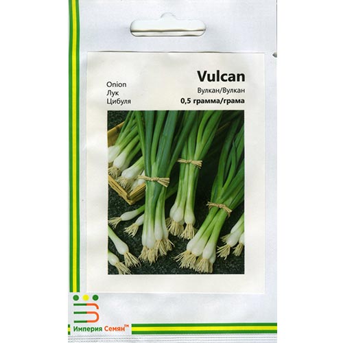 Цибуля на перо Вулкан Імперія насіння зображення 1 артикул 95362