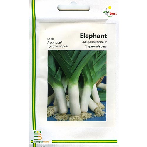 Лук порей Элефант Империя семян рисунок 1 артикул 95367