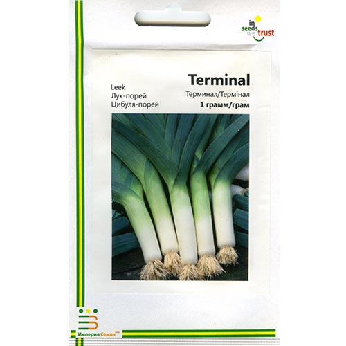 Лук порей Терминал Империя семян артикул фото 1 Лук порей Терминал Империя семян рисунок 1 артикул 95366