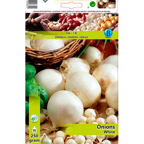 Лук репчатый белый рисунок 1 артикул 70497