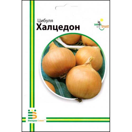 Цибуля ріпчаста Халцедон Імперія насіння зображення 1 артикул 95258