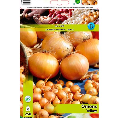 Лук репчатый желтый рисунок 1 артикул 70496