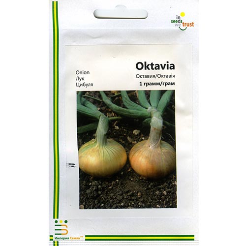 Лук репчатый Октавия Империя семян рисунок 1 артикул 95364