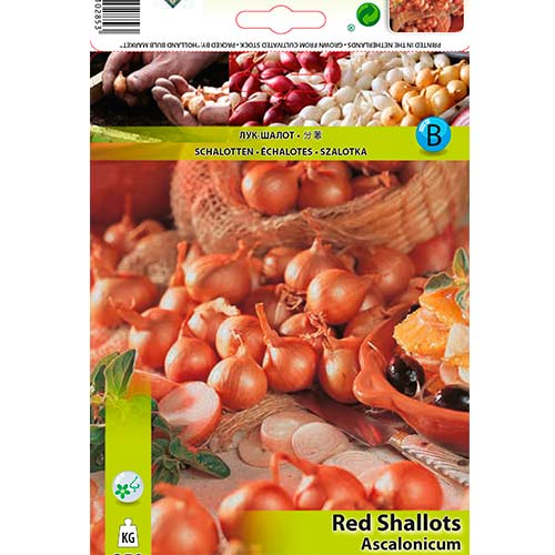 Цибуля шалот червона артикул фото 1 Цибуля шалот червона зображення 1 артикул 70499