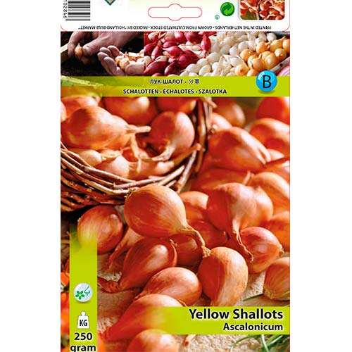 Цибуля шалот жовта зображення 1 артикул 70498