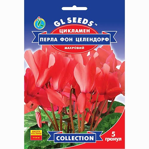 Цикламен Перла фон Целендорф F1 GL Seeds, семена рисунок 1 артикул 99548