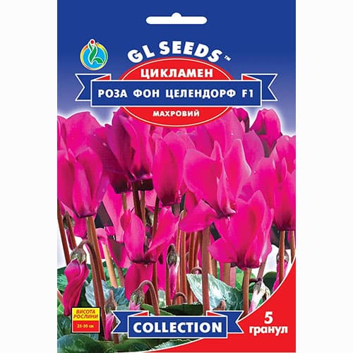 Цикламен Роза фон Целлендорф F1 GL Seeds, семена рисунок 1 артикул 99549