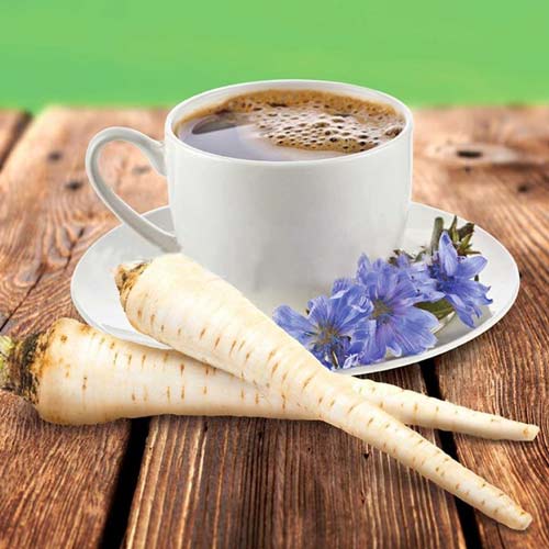 Цикорий корневой Кофейный Seedera рисунок 1 артикул 66525