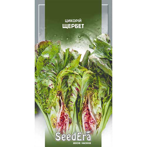 Цикорий Щербет Seedera рисунок 1 артикул 90278
