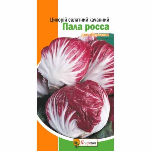 Цикорий кочанный Палла Росса Яскрава рисунок 1 артикул 77334