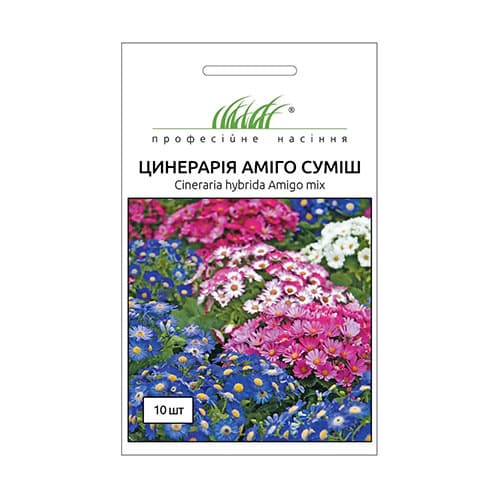 Цинерарія Аміго, суміш забарвлень Професійне насіння зображення 1 артикул 95152
