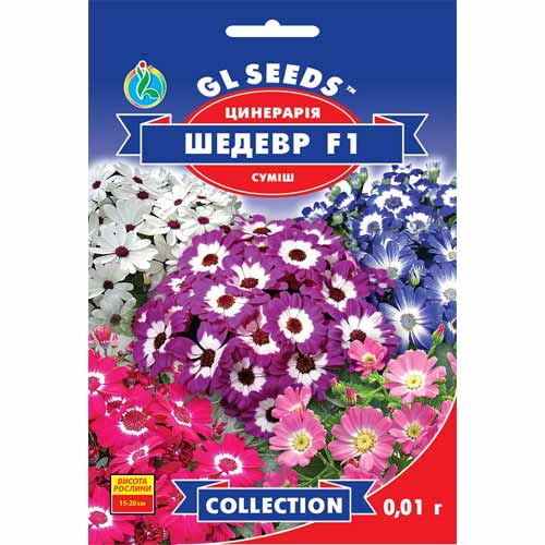 Цинерария цветущая Шедевр F1 смесь семян GL Seeds рисунок 1 артикул 85879