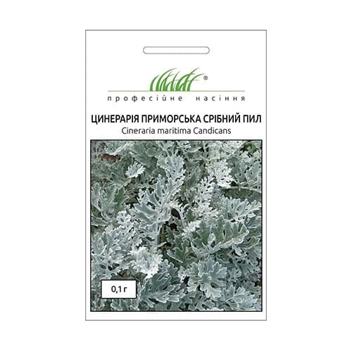 Цинерарія Срібний пил Професійне насіння зображення 1 артикул 72663
