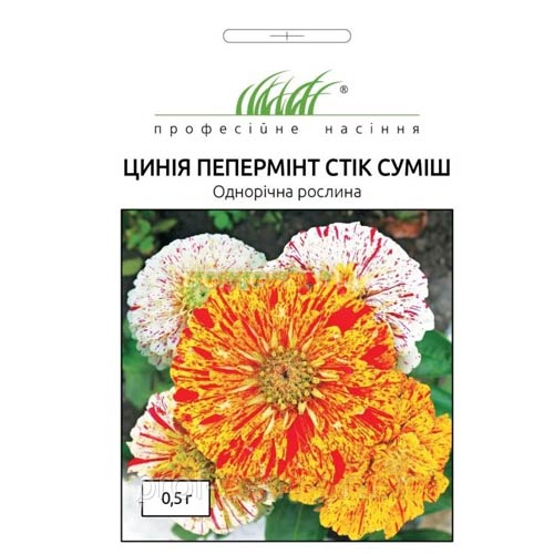 Цинія Пепермінт стік, суміш забарвлень Професійне насіння зображення 1 артикул 72667