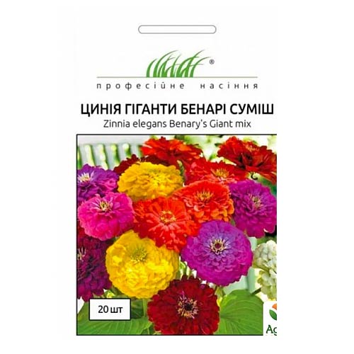 Цинія Гіганти Бенарі, суміш забарвлень Професійне насіння зображення 1 артикул 72665
