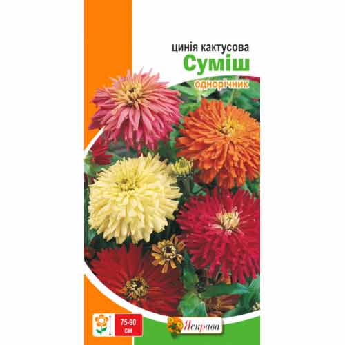 Цинния кактусовая, смесь окрасок Яскрава рисунок 1 артикул 99807
