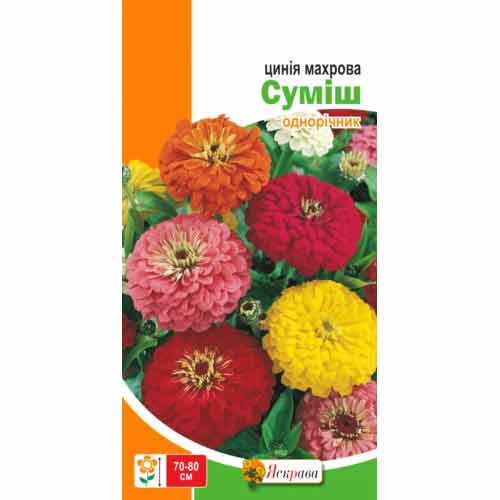 Цинiя махрова, сумiш забарвлень Яскрава зображення 1 артикул 72670