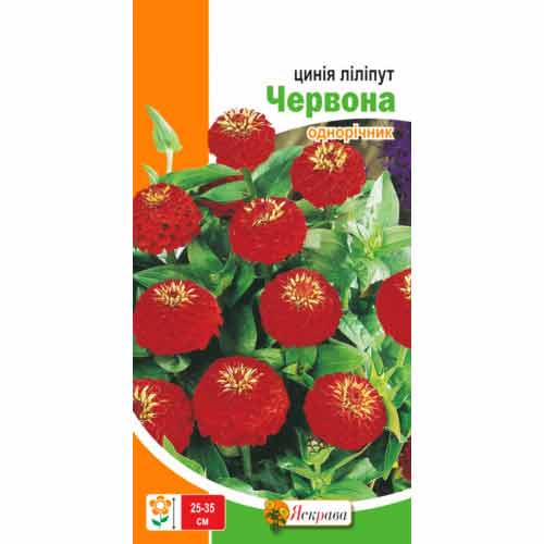 Цинія ліліпут Червона Яскрава зображення 1 артикул 77120